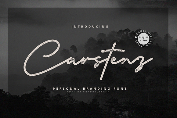 Carstenz Vintage Type in Script Fonts - product preview 10