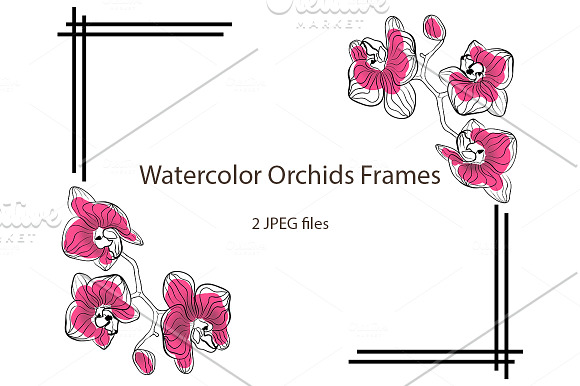 SALE Seamless Sketched Orchids in Patterns - product preview 4