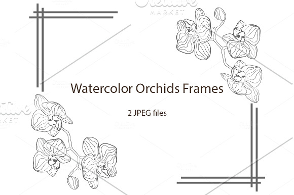 SALE Seamless Sketched Orchids in Patterns - product preview 5
