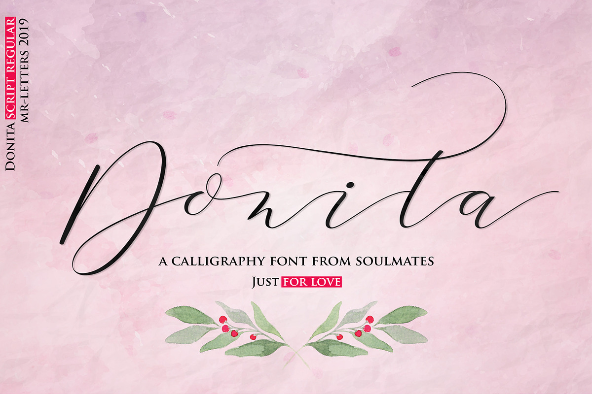 Donita Script in Script Fonts - product preview 8