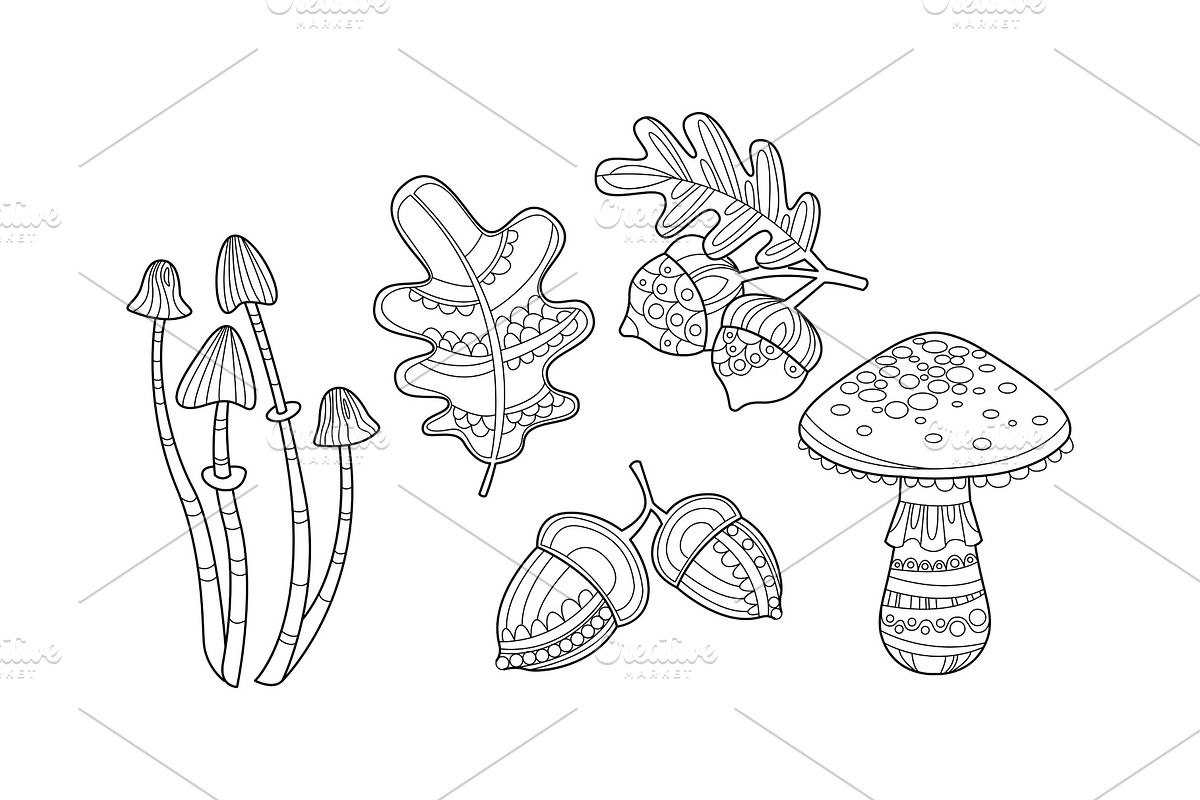Collection of hand drawn plants in Illustrations - product preview 8