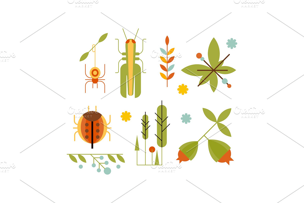 Collection of insects and plants in Illustrations - product preview 8