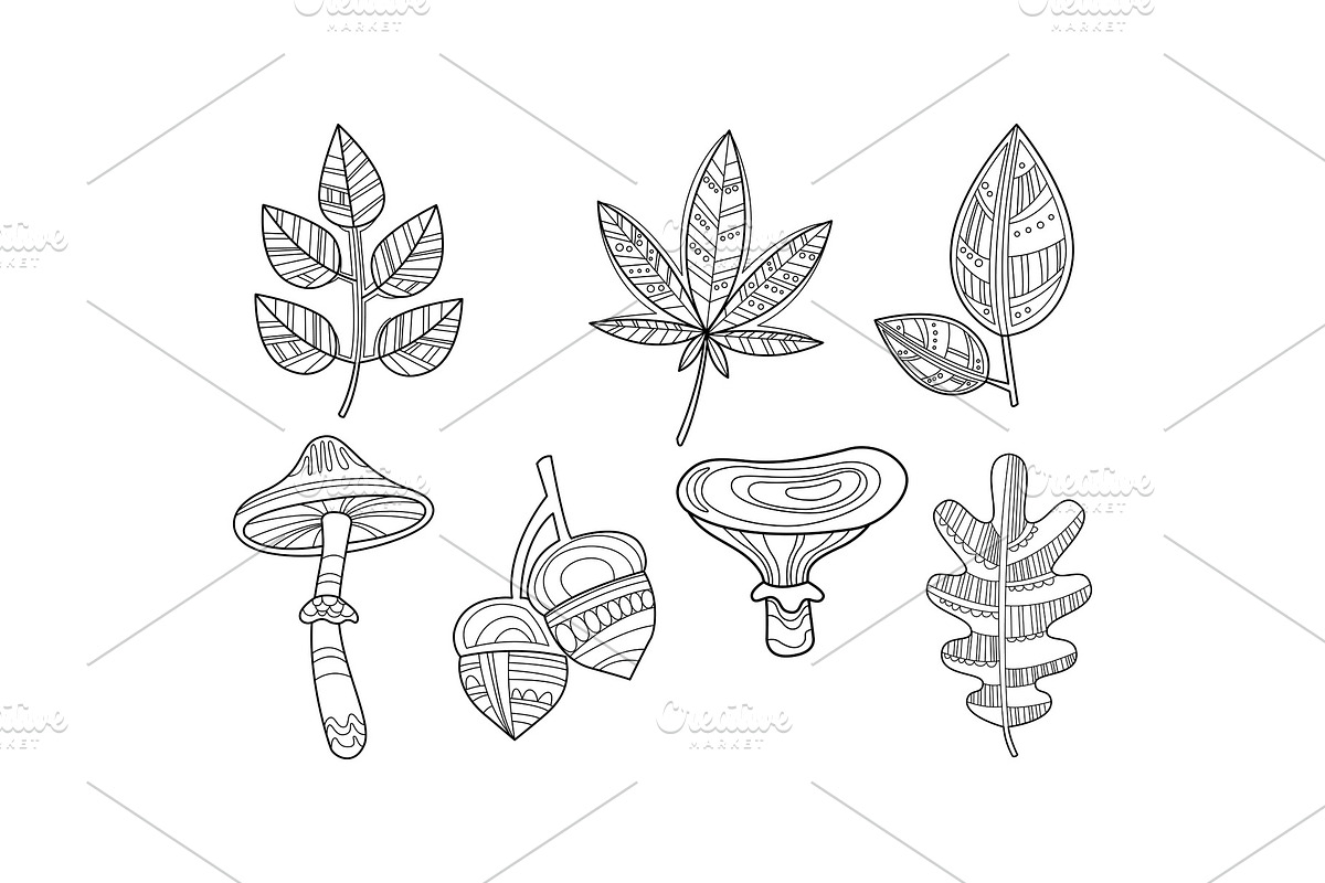 Collection of hand drawn plants in Illustrations - product preview 8