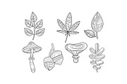 Collection of hand drawn plants