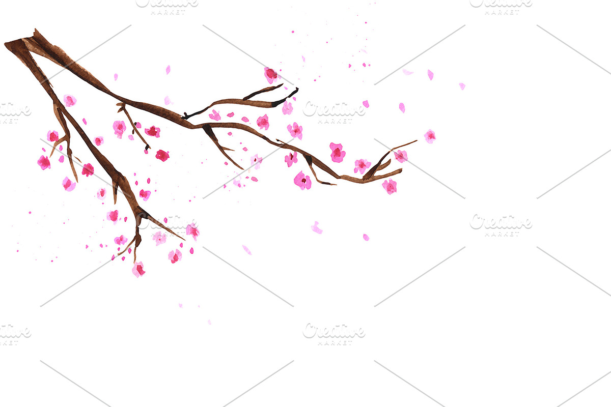 Watercolor sakura branches in Illustrations - product preview 8