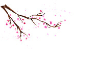 Watercolor sakura branches