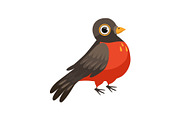 Colorful beautiful robin bird