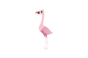 Beautiful pink flamingo bird vector