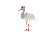 Beautiful white stork bird vector