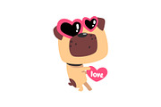 Funny Pug dog in sunglasses in the