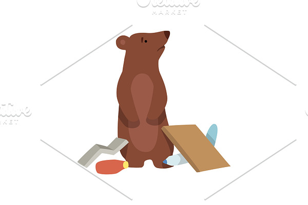 Bear and plastic waste, global