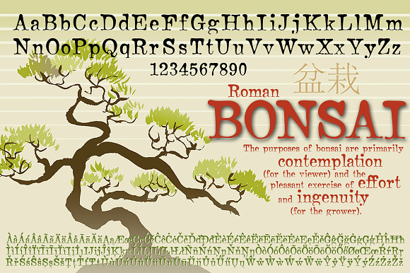 Bonsai Roman in Serif Fonts - product preview 3