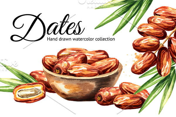 Dates. Watercolor collection