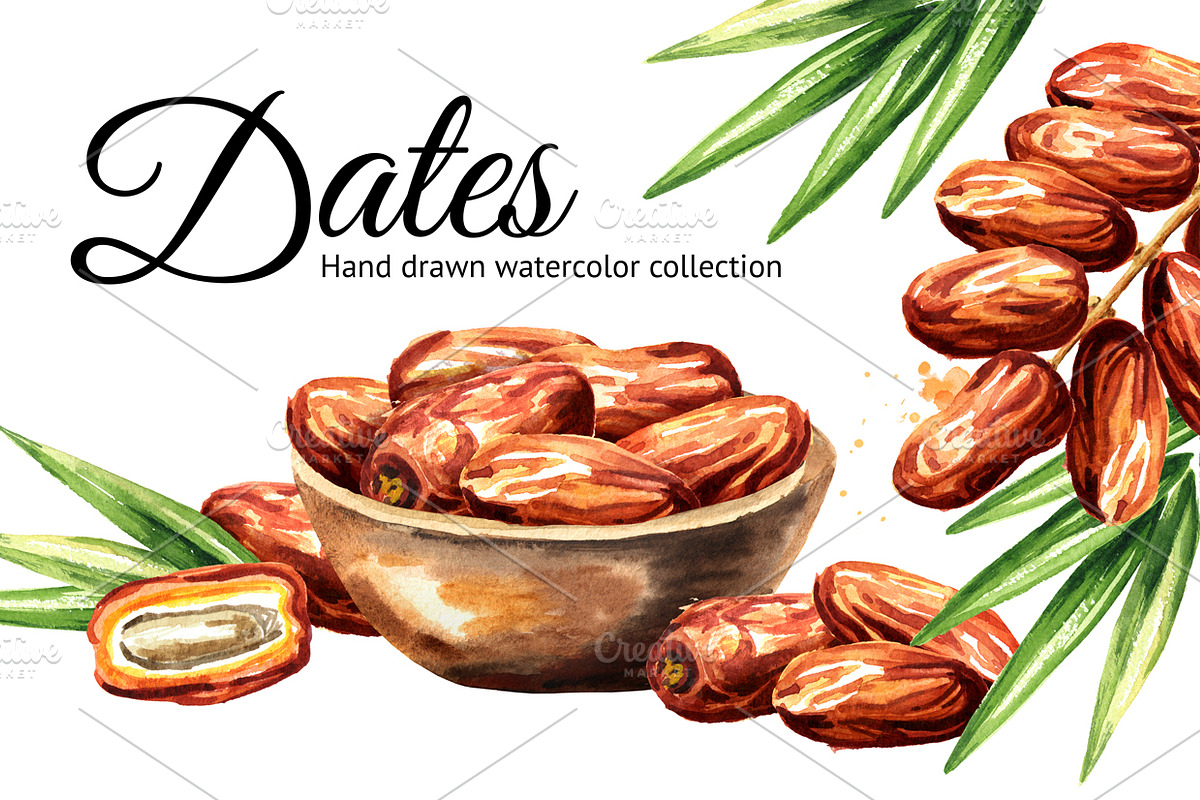 Dates. Watercolor collection in Illustrations - product preview 8