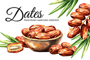 Dates. Watercolor collection