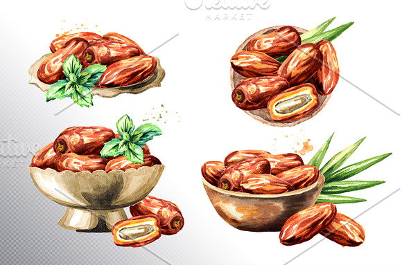 Dates. Watercolor collection in Illustrations - product preview 3