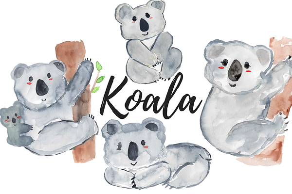 Watercolor animal koala clipart