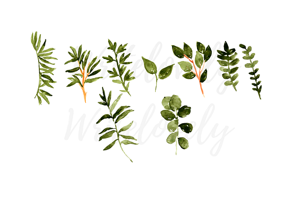 Watercolor greenery floral clipart in Illustrations - product preview 1