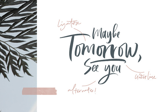 Cephalonia Font (40% OFF!) in Script Fonts - product preview 4