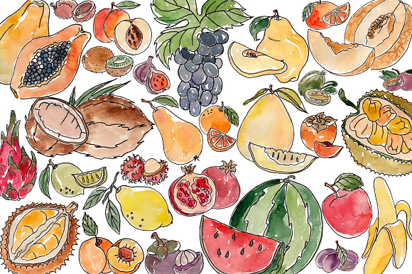 Watercolor fruits, raster in Illustrations - product preview 1