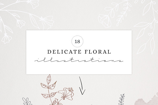 Delicate Florals & Borders