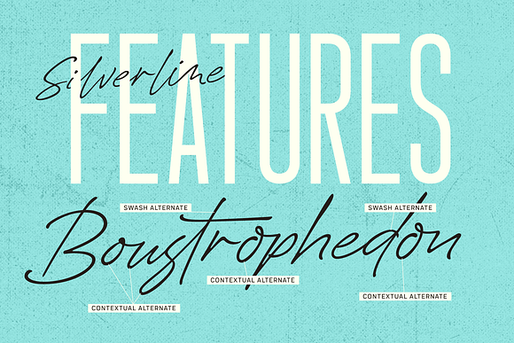 Silverline Font Duo in Script Fonts - product preview 1