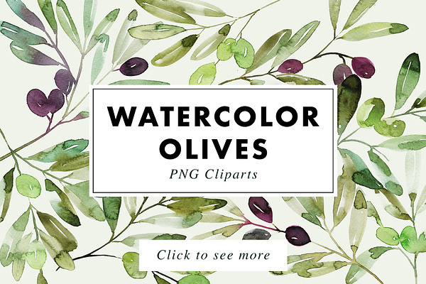 12 Watercolor Olive Branches