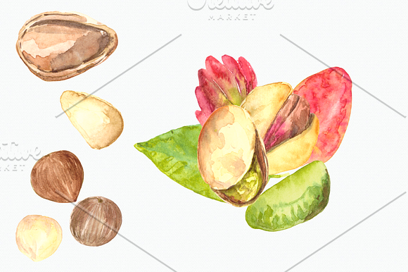 Nuts Watercolor Clip Art Set in Objects - product preview 4