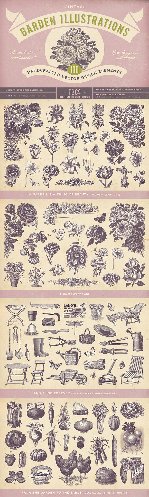 100 Vintage Garden Illustrations in Illustrations - product preview 7