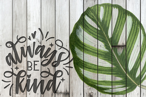 Prayer Plant Calathea Vintage Leaves in Illustrations - product preview 5