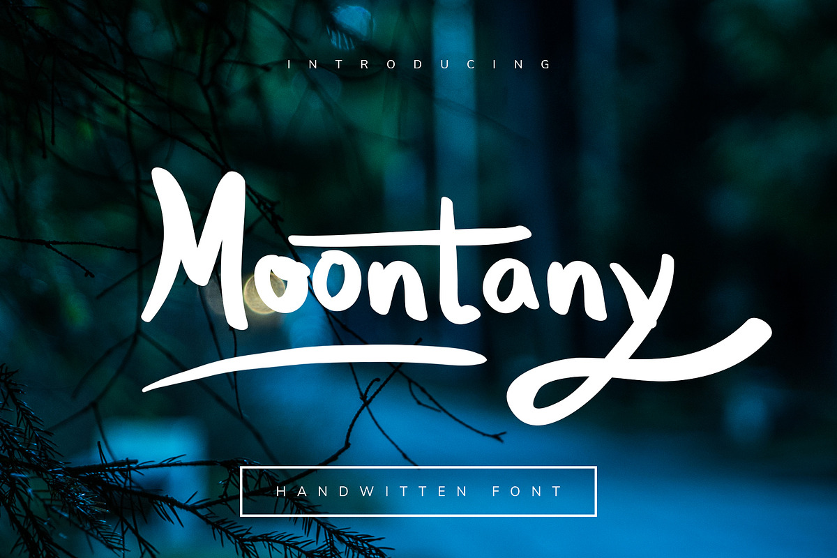 Moontany Font in Display Fonts - product preview 8