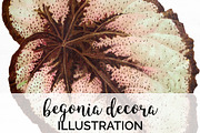 Begonia Leaves Vintage Leaf