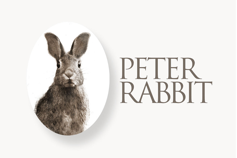 Peter Rabbit II in Illustrations - product preview 8