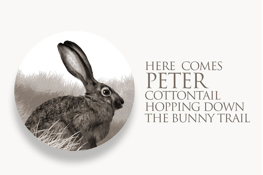 Peter Cottontail Rabbit Illustration