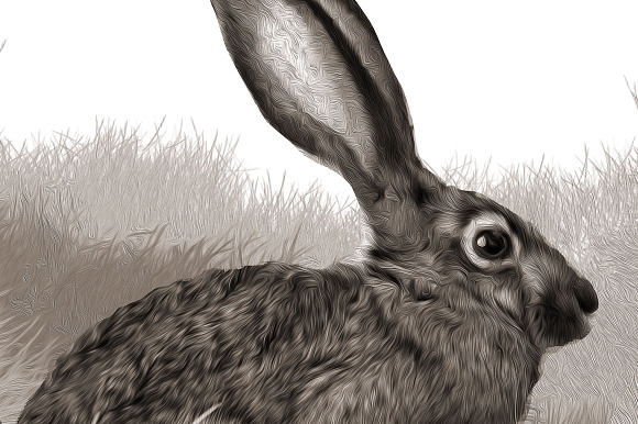 Peter Cottontail Rabbit Illustration in Illustrations - product preview 1