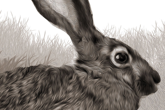 Peter Cottontail Rabbit Illustration in Illustrations - product preview 2