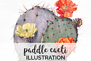 Paddle Cactus Leaf Vintage Cacti