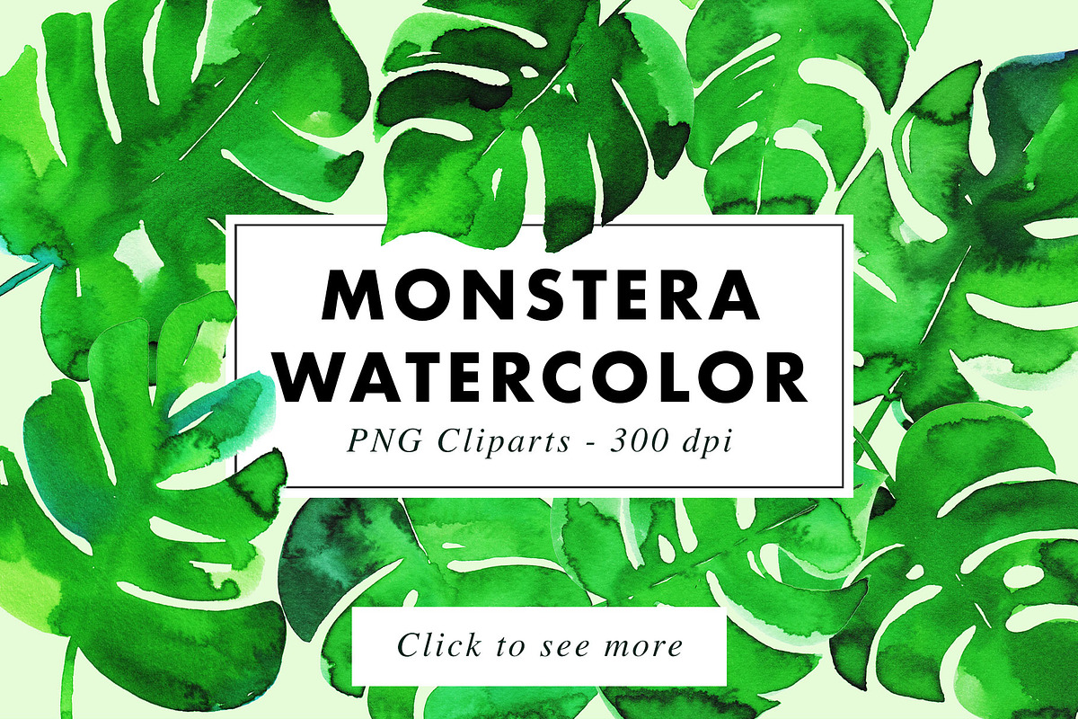 10 Monstera Watercolor Illustrations in Illustrations - product preview 8