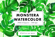 10 Monstera Watercolor Illustrations