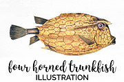 Four-Horned Trunkfish Vintage Fish