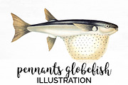 Pennants Globefish Vintage Fish