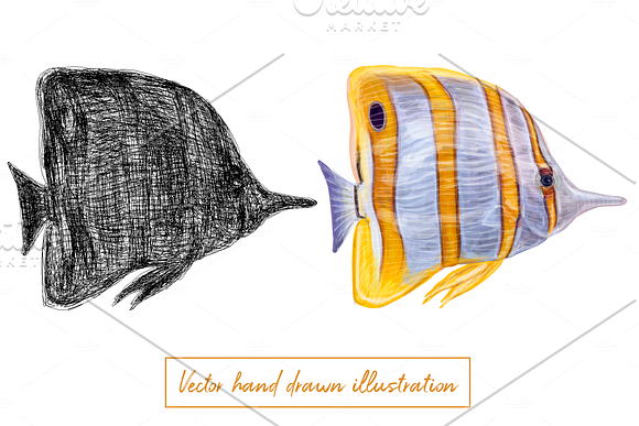 Tropical exotic fishes in Illustrations - product preview 9