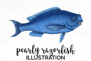 Pearly Razor-Fish Vintage Fish