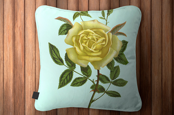 Rose Yellow Flowers in Illustrations - product preview 1