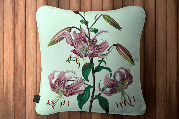 Lily Pink Flowers Lilies in Illustrations - product preview 1