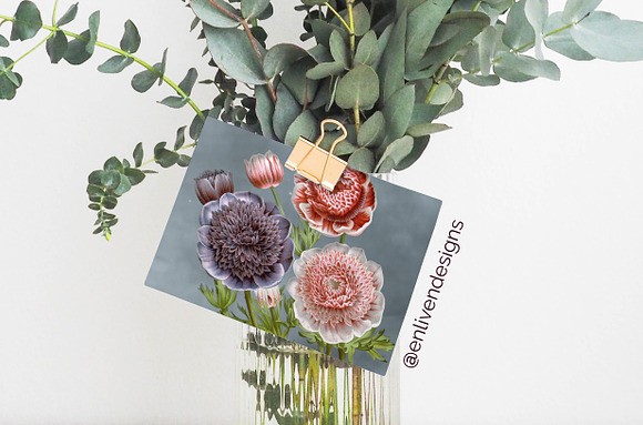 Anemone Flower in Illustrations - product preview 1