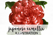 japonese camellia vintage florals