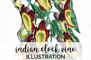 indian clock vine vintage florals