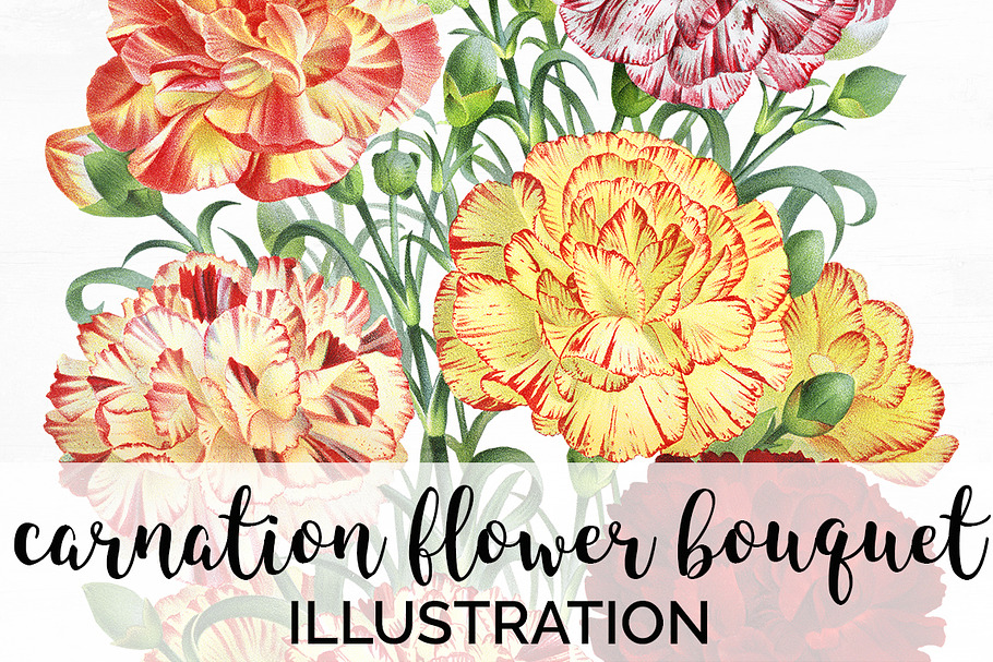Bouquet Carnation Clipart Flowers in Illustrations - product preview 8