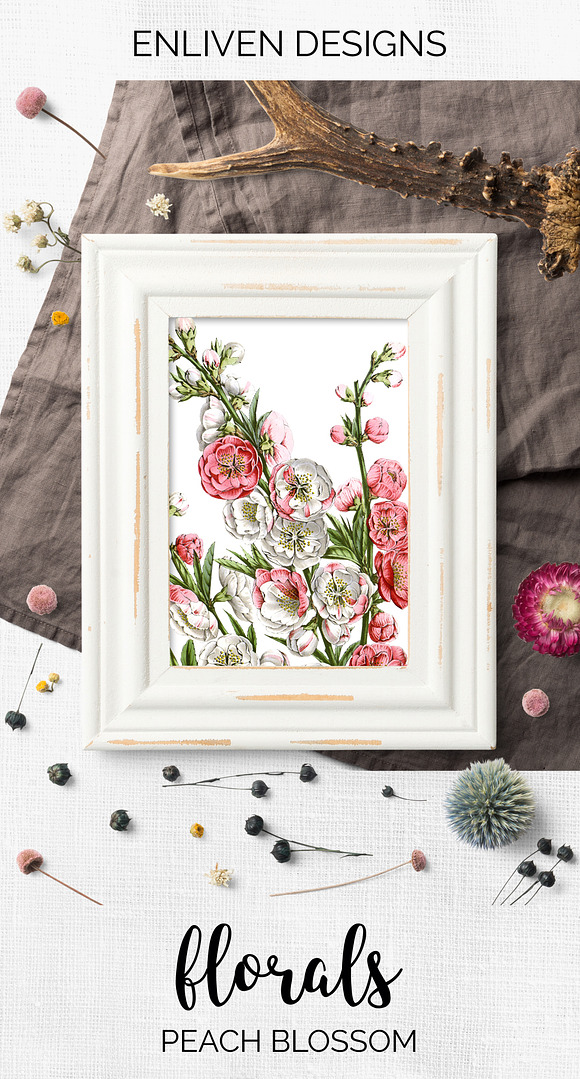 peach blossom vintage flower in Illustrations - product preview 7